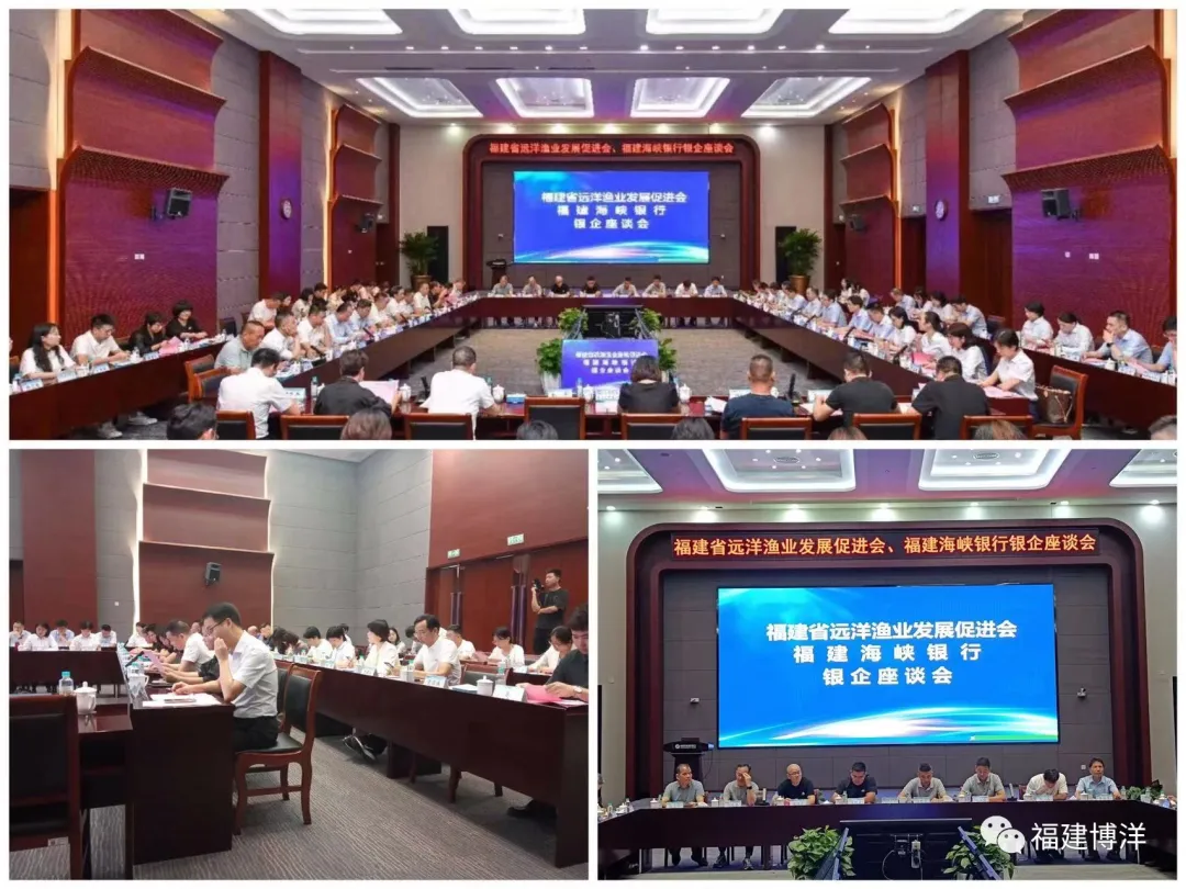 簡訊｜公司應(yīng)邀出席福建省遠(yuǎn)洋漁業(yè)發(fā)展促進會福建海峽銀行銀企座談會